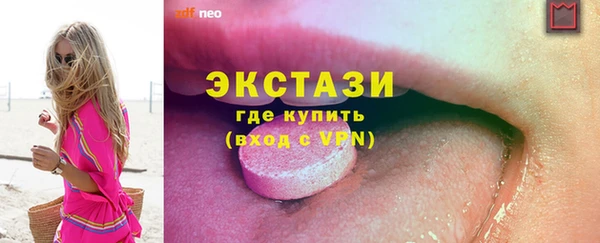 индика Лабытнанги