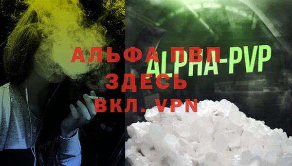 индика Лабытнанги