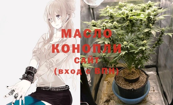 индика Лабытнанги
