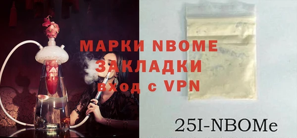 индика Лабытнанги