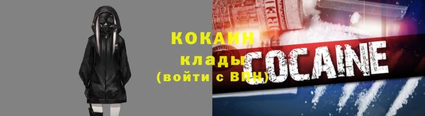 индика Лабытнанги
