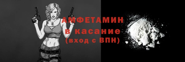 индика Лабытнанги