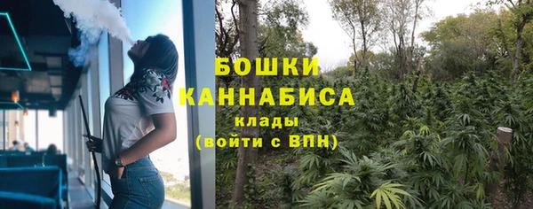 индика Лабытнанги