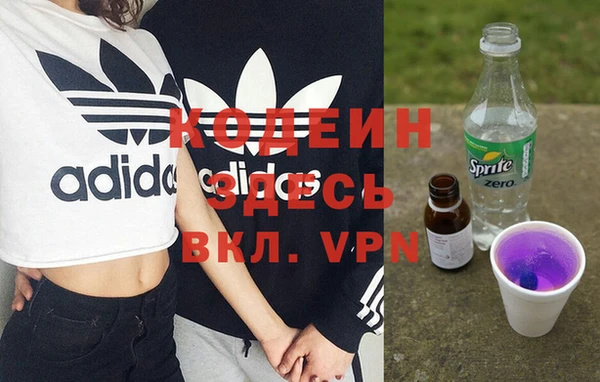 индика Лабытнанги