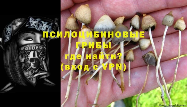 синтетический гашиш Ладушкин