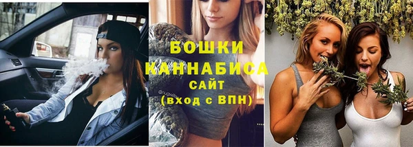 индика Лабытнанги