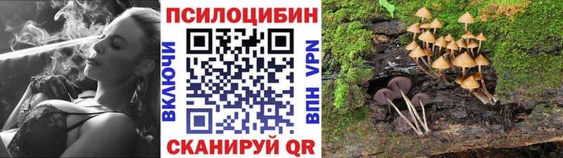 Купить  Ряжск  Галлюциногенные грибы мухоморы 